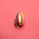 Prostata Vibratoren