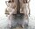 Arctic Petal Straps Bodystocking – Weißer Netz Catsuit mit Lace Up Front, Straps Optik & ouvert Schritt, One Size XS–L bis ca. 70 kg
