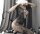 Raven Lace-Up Allure Bodystocking – Netz-Catsuit mit Kreuzschnürung, floraler Spitze & Ouvert, XS–M, Schwarz