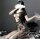 Raven Lace-Up Allure Bodystocking – Netz-Catsuit mit Kreuzschnürung, floraler Spitze & Ouvert, XS–M, Schwarz