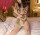 Ink Seduction Bodystocking – Skin-Tight Tattoo Catsuit, XS-M, Seductive & Stretchy