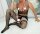 Strappy Garter Illusion Men’s Bodystocking – garter illusion mesh, open crotch, one size XS–L (EU 34–40)