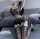Obsidian Lattice Bodystocking – Schwarzer Netz-Catsuit mit floralen Mustern & ouvert Schritt, XS-L