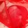 Mens Scarlet Lace Panty – Exklusive Herren-Unterwäsche mit Spitze, Rot, XS-S