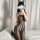 Striped Seduction Bodystocking – Erotic Catsuit with Vertical Stripes, Open-Crotch, Stretchy & Figure-Hugging, for XS-M (34-38)