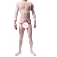 Transparent Elegance Mens Bodystocking –...