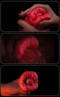 Big Mouth Rose Red Saug-Vibrator - 5 Saugmodi, 3 Geschwindigkeiten, wasserdicht und wiederaufladbar