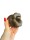 Big Mouth Vibrator Black Beauty - 3 Saugmodi, 5 Vibrationsstufen, Wiederaufladbar für intensive Stimulation