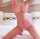 Neon Temptress Net Catsuit – open-crotch pink fishnet bodystocking, stretchy one-size XS–M