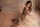 Dark Lace Temptation Fishnet Bodystocking – Sinnlicher Catsuit mit floraler Spitze, ouvert, XS-L (34-40)