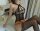 Vortex Keyhole Halter Bodystocking – Schwarzer Netz Catsuit mit Keyhole Cut Outs, Straps Optik & Neckholder, ouvert Schritt, One Size XS–L bis 75 kg
