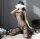 Rose Veil Sheer Bodystocking – Zarter Netz Catsuit mit Rosenmuster, Spaghetti Trägern & ouvert Schritt, One Size XS–M bis 60 kg
