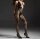 Nightfall Crisscross Halter Bodystocking – Deep black fishnet catsuit with lace up neckline, floral lace & open crotch, One Size up to 70 kg